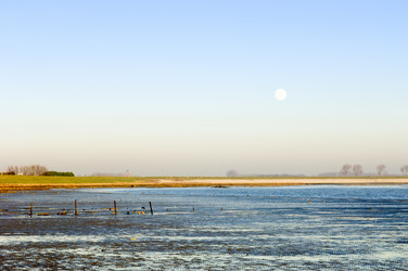 Similar image 1099422