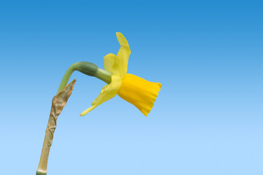 Similar image 1099423