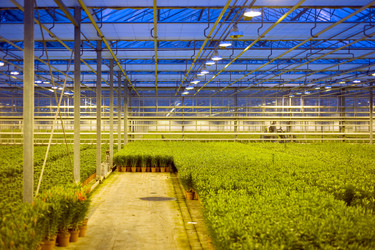 Similar image 1099433