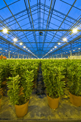 Similar image 1099438