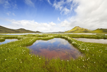 Similar image 1099453