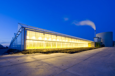 Similar image 1099484