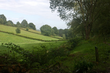 Similar image 1099486