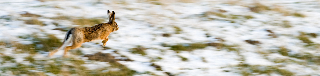 Similar image 1099488