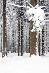 Similar image 1099494