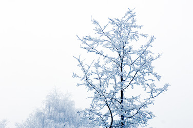 Similar image 1099493