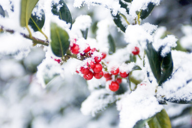 Similar image 1099495