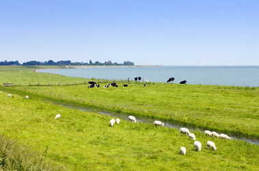 Similar image 1099496