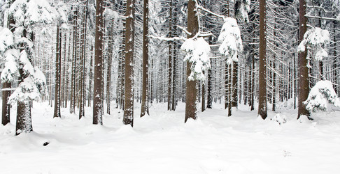 Similar image 1099499