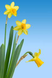 Similar image 1099512