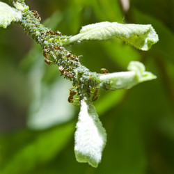 Similar image 1099513