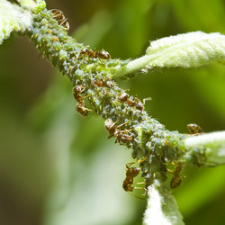 Similar image 1099514