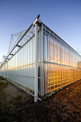 Similar image 1099523