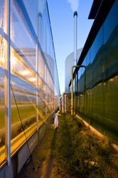 Similar image 1099531