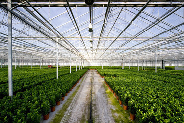 Similar image 1099534