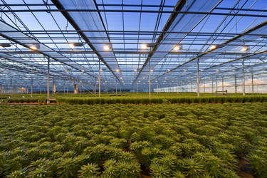 Similar image 1099535