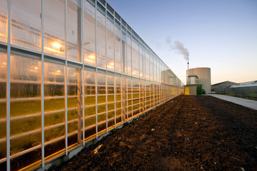 Similar image 1099536