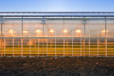 Similar image 1099538