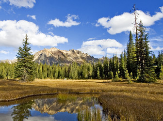 Similar image 1099541