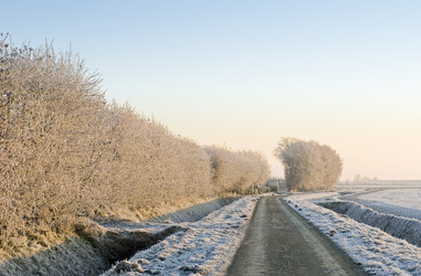 Similar image 1099551