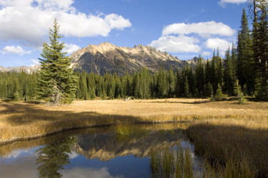 Similar image 1099552