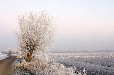 Similar image 1099556