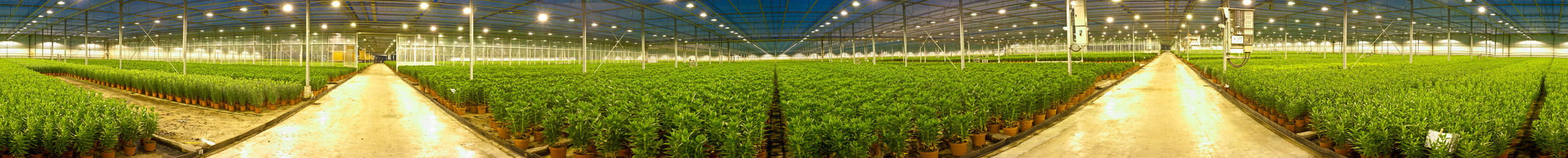 Similar image 1099565