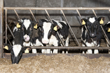 Similar image 1099618