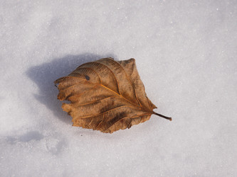 Similar image 1099646