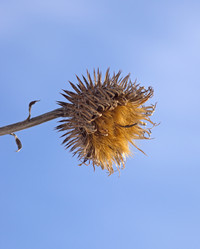 Similar image 1099647