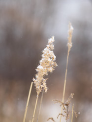 Similar image 1099648