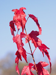 Similar image 1099650