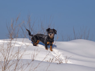 Similar image 1099656