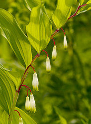 Similar image 1099661