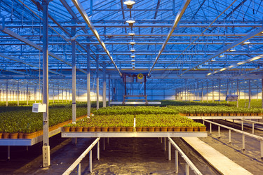 Similar image 1099777