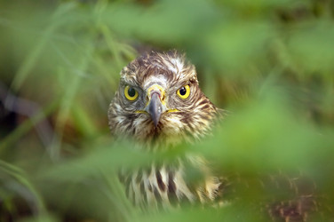 Similar image 1099779