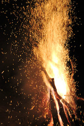 Similar image 1099821