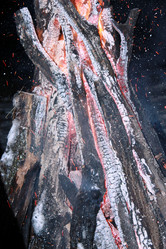 Similar image 1099822