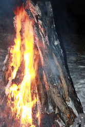 Similar image 1099823