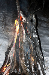 Similar image 1099824