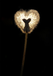 Similar image 1099845