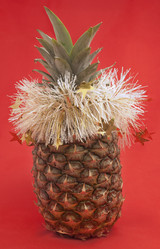 Similar image 1099849