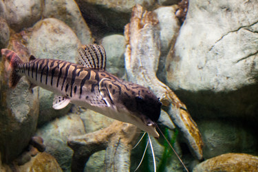 Similar image 1099868