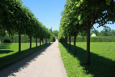 Similar image 1099874