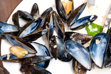 Similar image 1099892