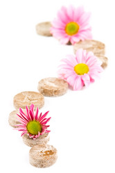 Similar image 1099963