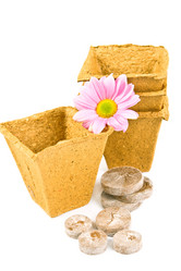 Similar image 1099964