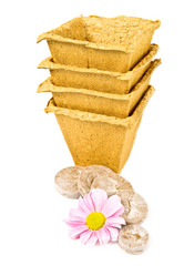 Similar image 1099967