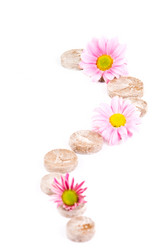 Similar image 1099968