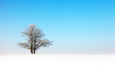 Similar image 1099987